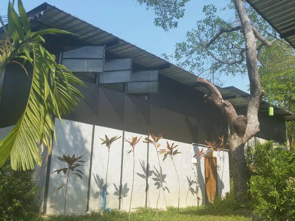 Himmapan Resort Koh Phayam Esterno foto